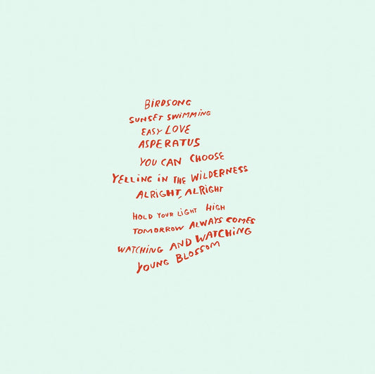 CD, Terrible Sons, The Raft Is Not The Shore